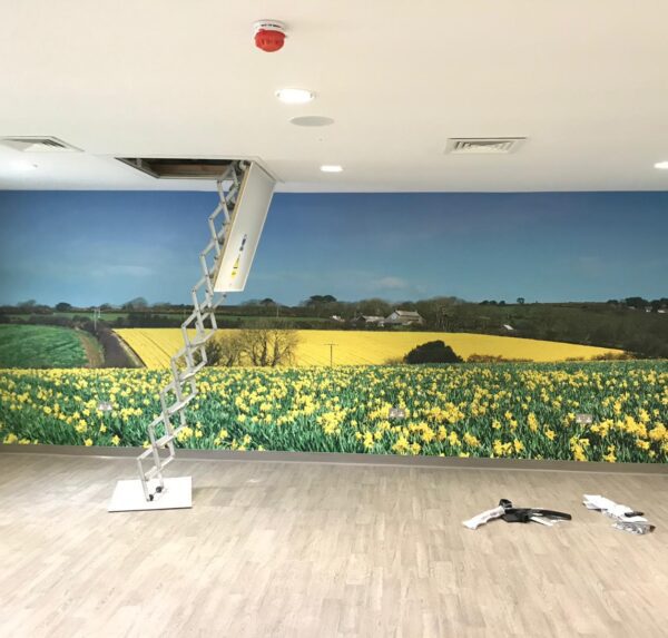 A recent FeatureWall mural installation