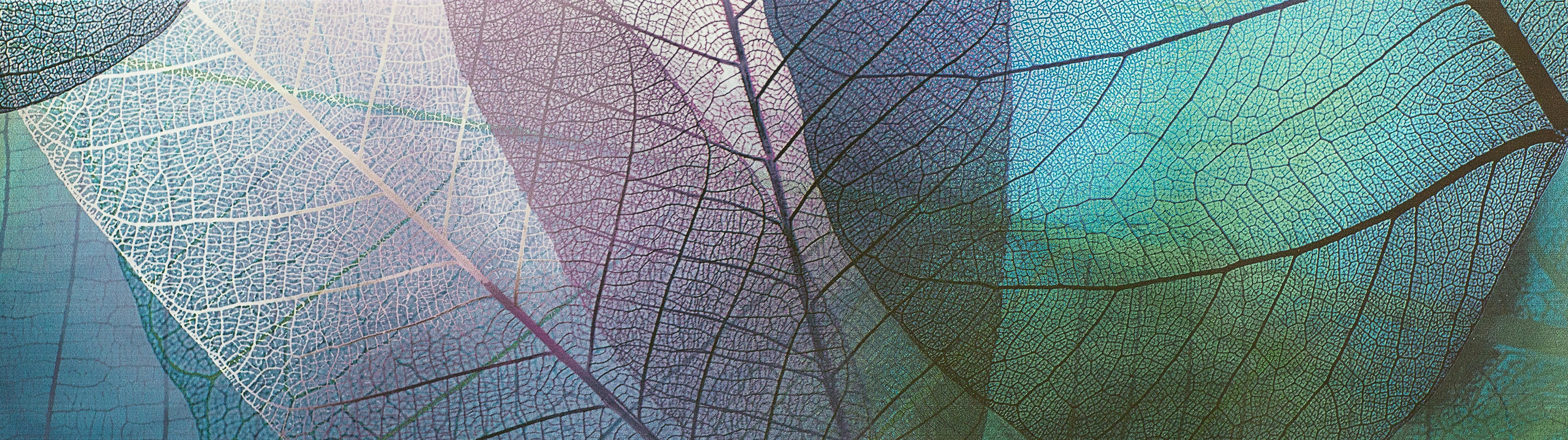 Abstract Pattern With Ornamental Leaves