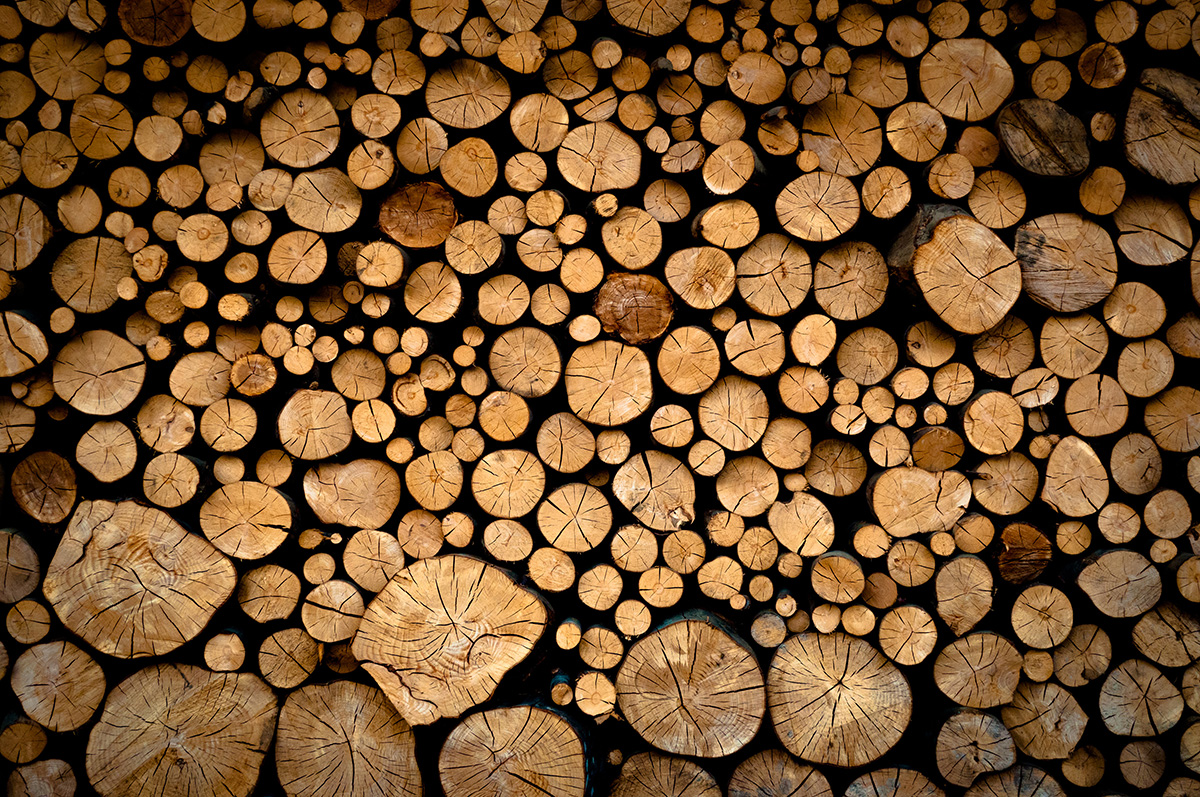 Stacked Firewood